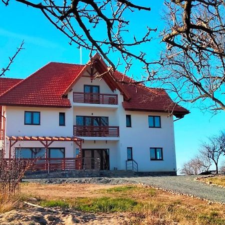 Casa Comilor Bed and Breakfast Surdesti  Exterior foto