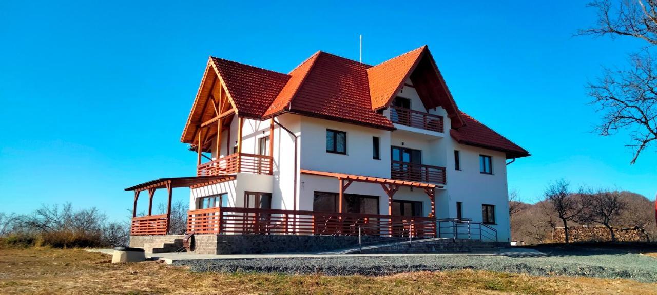 Casa Comilor Bed and Breakfast Surdesti  Exterior foto