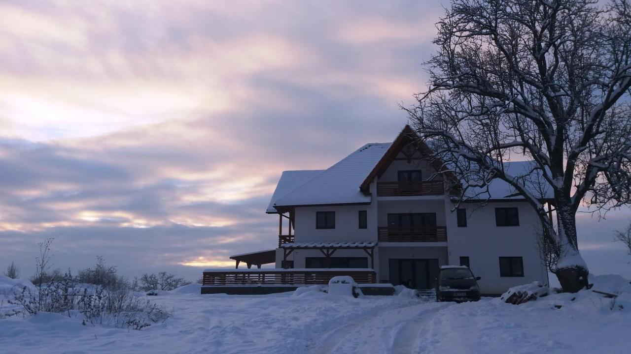 Casa Comilor Bed and Breakfast Surdesti  Exterior foto