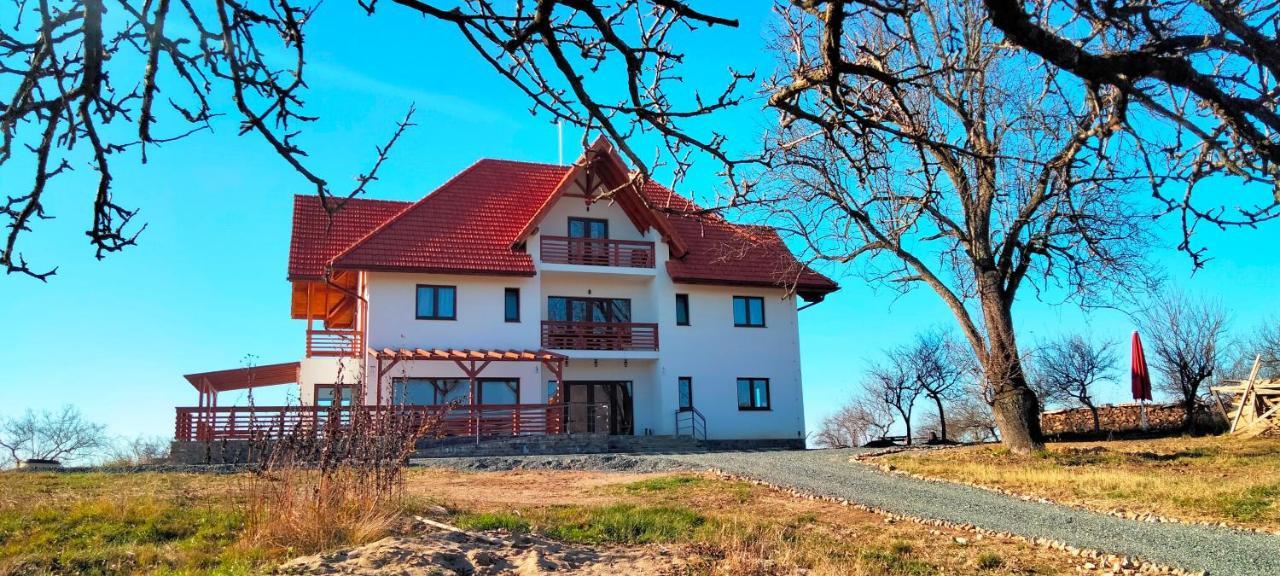 Casa Comilor Bed and Breakfast Surdesti  Exterior foto